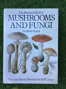 Das illustrierte Buch der Pilze und Pilze von Surcek, Mirko Buch Hardcover - Bild 1 von 4
