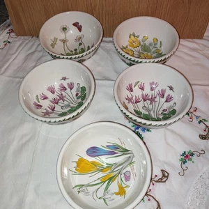 5 cuencos apilables Portmeirion jardín botánico cereal/sopa/avena - Imagen 1 de 13