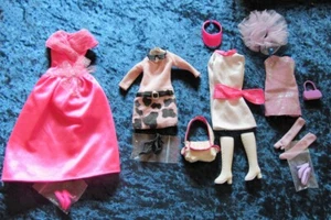 Collection of Genuine Barbie Pink Label Clothes With Shoes etc 02 - Picture 1 of 1