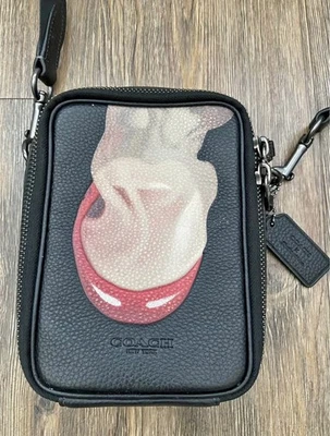 Coach X Tom Wesselmann Stanton Crossbody Purse Gunmetal/Black CQ087 Pre-Owned - Image 1 of 4