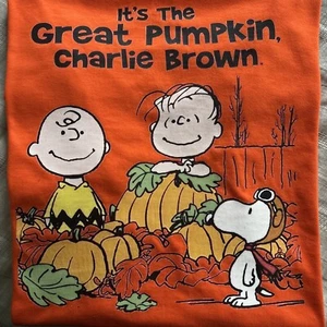 Charlie Brown T-shirt - Picture 1 of 7