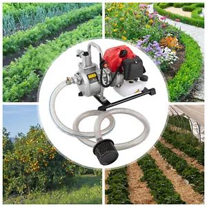Benzin Wasserpumpe 2 PS Gartenpumpe 2-Takt Motorpumpe 1 Zoll Teichpumpe 42.5cc - Bild 1 von 14
