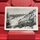 Aspen Colorado Ski Resort Mountain View B Photograph 4 1/2 x 3 1/8 Vtg 1950s