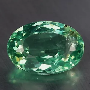 Video 1,69 quilates Madagascar Apatita Natural Vivido Verde Tono GM1508 - Imagen 1 de 2