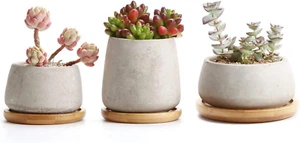 Seriale Di Vaso per Piante in Cemento; Vasi Di Fiori Con Vassoio Da Succulento C - Foto 1 di 8