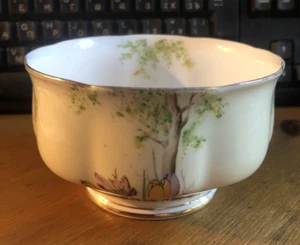 ROYAL ALBERT CROWN CHINA HAMPTON SHAPE CROCUS OPEN SUGAR BOWL - Picture 1 of 12