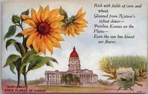 1908 TOPEKA, Kansas Postcard State Flower & Capitol Bldg / Williamson-Haffner - Picture 1 of 2