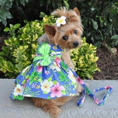 Dog Dress with Matching Leash Blue Lagoon Hawaiian Hibiscus - Image 1 of 4