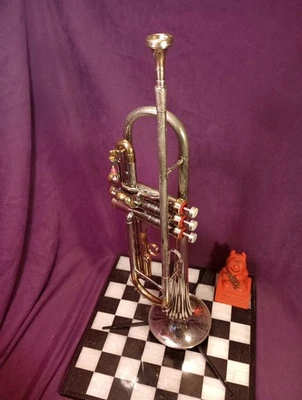 Constellation 28A Bb 1962 trompeta larga como envoltura corneta con demostración, estuche MTPC Foto 1 de 4