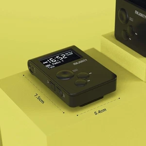DAB Radio, klein mit Akku ohne Lautsprecher, Majority Petersfield Go, GEPRÜFT - Bild 1 von 8