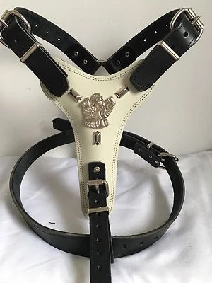 STAFFORDSHIRE/STAFFIE/STAFFY -  BULL TERRIER DOG HARNESS REAL LEATHER//  - Image 1 of 3