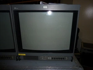 Sony PVM-20M4E Professional Color Monitor 20" x Gaming 800TV Linee - Zdjęcie 1 z 4