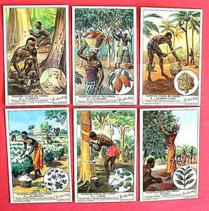LIEBIG - S1434   F1433 - USEFUL PLANTS OF THE CONGO  - SET OF 6 - 1941 - VG