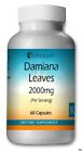 Damiana Leaves Capsules Maximum Strength 60 Premium Size Bottle -By Sunlight