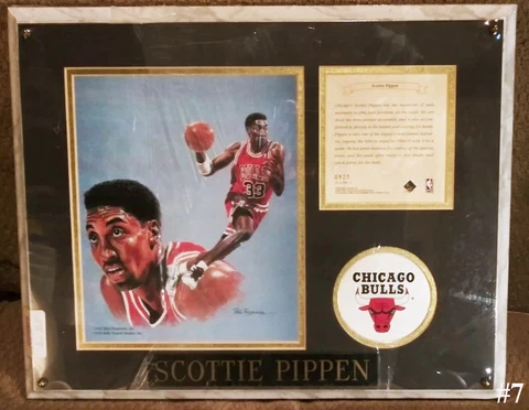 Chicago Bulls Scottie Pippen Plaque Cover
