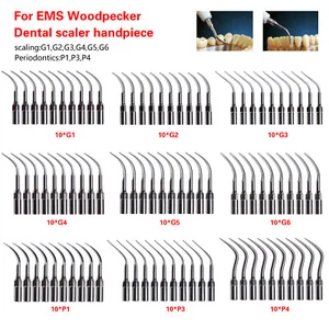 10X Dental Ultrasonic Scaler Scaling Tips Fit Woodpecker EMS G1-G6 P1-P4 - Picture 1 of 23