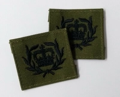 Genuine British Royal Marines CQMS QMSI Green Patch Olive Drab RM X2  ASPS276 - Image 1 of 4