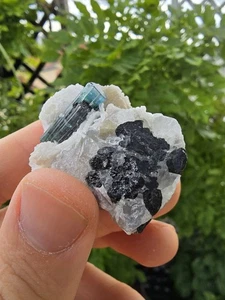 Turmalin Blau Paraiba Indigolith Skardu Pakistan 39 Gramm - Bild 1 von 14