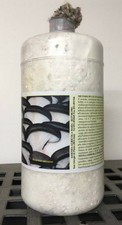 1 Barattolo da 2,5 Lt. MICELIO FRESCO DI FUNGHI - Pleurotus