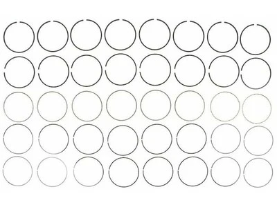 Chasis personalizado Workhorse 2004-2005 P42 anillo de pistón Hastings 21721MCGC Foto 1 de 2