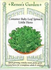Spinach Baby Leaf Little Hero Vegetable Seeds - Renee's Garden 12/22