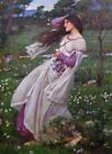 J. W. Waterhouse - Windflowers - Quality Canvas Print - 45Cm Size - Wind Flowers