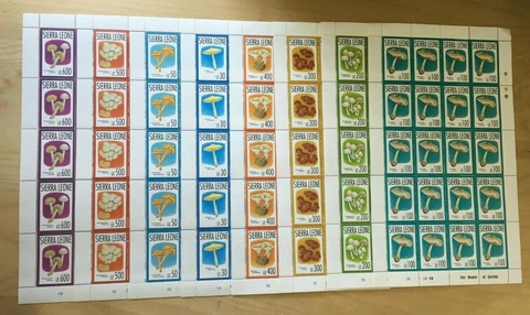 FULL SHEETS Sierra Leone 1993 1618-25 - Mushrooms - Set of Sheets - MNH Cover
