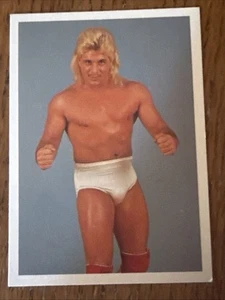 1988 Wonderama NWA #185 Cougar Jay #185 - Picture 1 of 2