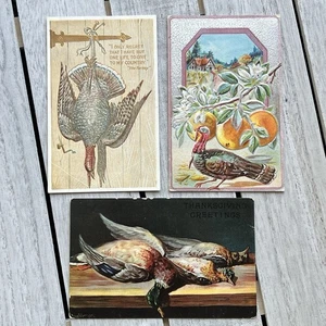Lot ALL ANTIQUE THANKSGIVING POSTCARDS Hanging Wild Turkeys Still Life Oranges - Picture 1 of 2