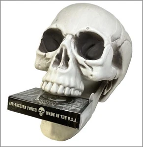 Airhead, The Skull Deck holder, holds your house deck of playing cards. - Picture 1 of 10