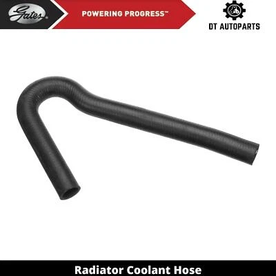 Manguera de refrigerante de radiador de gas 1,8 L L4 1982 Chevrolet Cavalier puertas superiores Foto 1 de 4