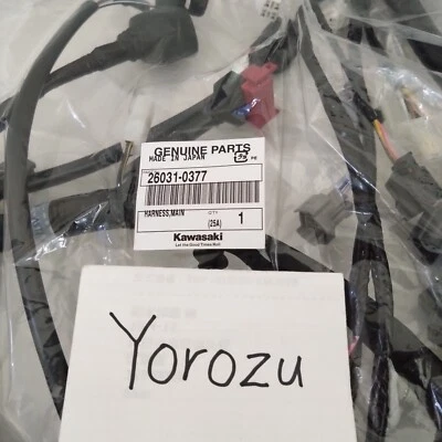 New KAWASAKI 2005 2006 ZX6R Main Harness Engine Wire Wiring Plugs Complete Stock Foto 1 de 4