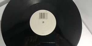 12 Zoll Vinyl Schallplatte White Label unbekannter Künstler - Schranzformator #7 Techno 2008 DJ - Bild 1 von 13
