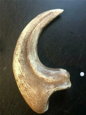 HUGH UTAHRAPTOR  CLAW  REPLICA 9 " long jurassic dinosaur brown   - Image 1 of 4