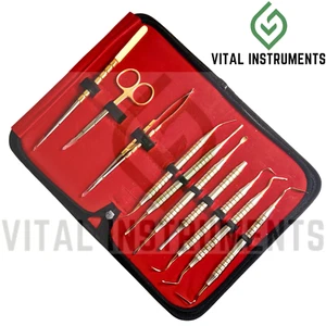 Kit de instrumentos de procedimiento de túnel de elevación de implantes sinusales 10 piezas dental alemán - Imagen 1 de 1