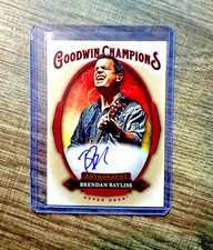 2020 Upper Deck UD Goodwin Champions Brendan Bayliss  Autograph Signature🎸🔥