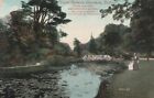eine irische Dublin alte Postkarte Irland königlicher botanischer Garten