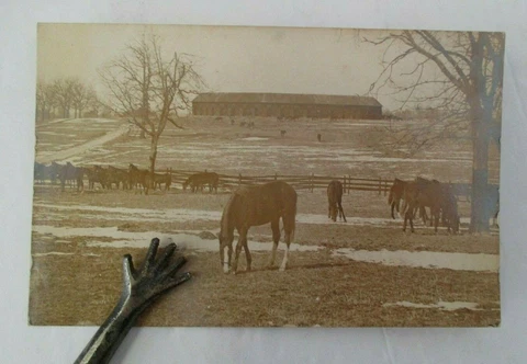RPPC of ELMENDORF FARM, J.B. Haggin, Famous Kentucky Horse Breeding & Stud Farm Cover