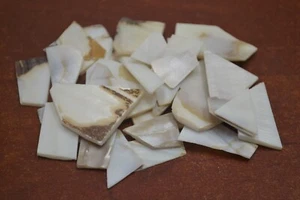 500 STÜCK KLEINER MIX FLUSSMUSCHEL SCHROTT ROHLINGE EINLEGEMATERIAL - Bild 1 von 1