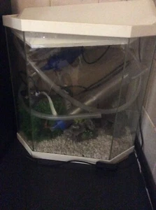 Medium size fishtank for sale. All accesaries included. Excellent condition. - Picture 1 of 1