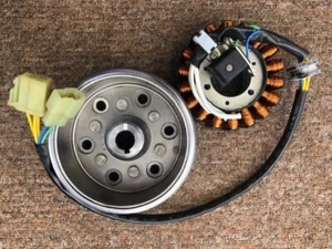 Hyosung GV250 EFI Estator Magneto Aquila Generador Volante - Imagen 1 de 2