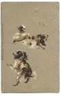 Tuck Art Series no 855 Embossed Chromo Dogs PPC 1905 Ipswich Squared Circle PMK