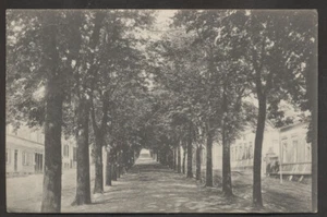 Ballenstedt im Harz  Strassenansicht  Allee gest. 1910 - Bild 1 von 2