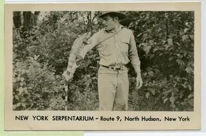 NORTH HUDSON New York SERPENTARIUM ~ Echtfoto POSTKARTE ~ Mann & GROSSE EIDECHSE - Bild 1 von 2