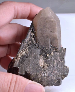 #5962 Wolframite with Quartz - Kazakhstan [Quartz has Wolframite inclusions] - Picture 1 of 8