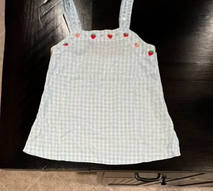 Gymboree STRAWBERRY FARM Vintage EUC 9 Blue gingham embroidered top - Picture 1 of 2