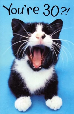 Divertida tarjeta de cumpleaños 30 PARA 30 AÑOS, gato gritando por American Greetings + ✉ Foto 1 de 4