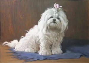 BICHON FRISE CHARMING DOG GREETINGS NOTE CARD - Picture 1 of 1