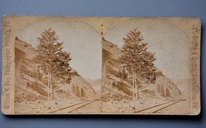Stereoscopic Stereo View Card, Utah Tree at Railroad, William H Rau/Griffith