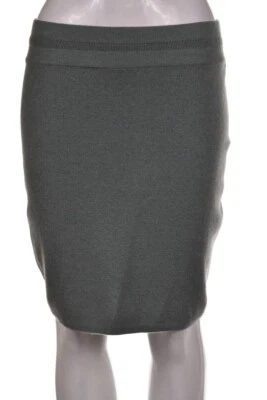 TSE 女式裙子 S 码鼠尾草绿色纯色铅笔 100% 羊绒过膝 — 第 1/4 张图片